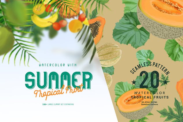 夏日热带水果水彩插画 Watercolor with summer – Tropical Fruit插图6
