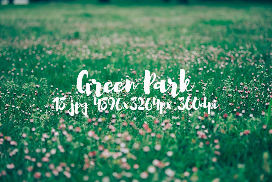 生机勃勃的公园景象高清照片素材 Green Park bundle插图8