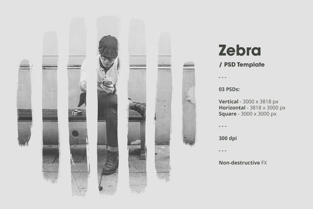 水墨斑马条纹遮罩效果PSD分层模板 Zebra插图(2)