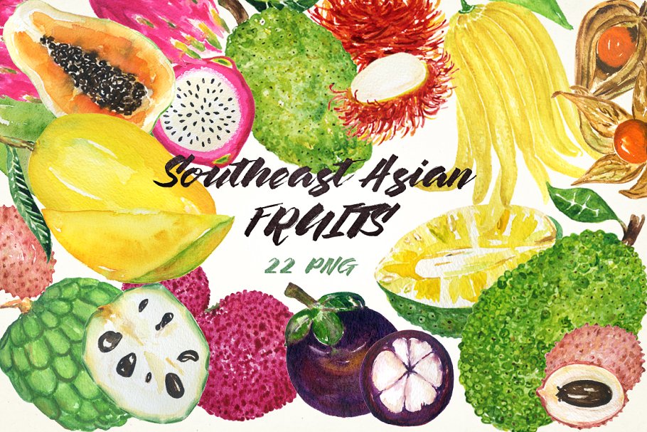 亚洲热带水果水彩剪切画 Tropical Asian fruits watercolor插图(4)