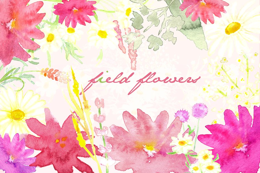 手绘水彩白色雏菊野花剪贴画 Field Flowers watercolor clip art插图1