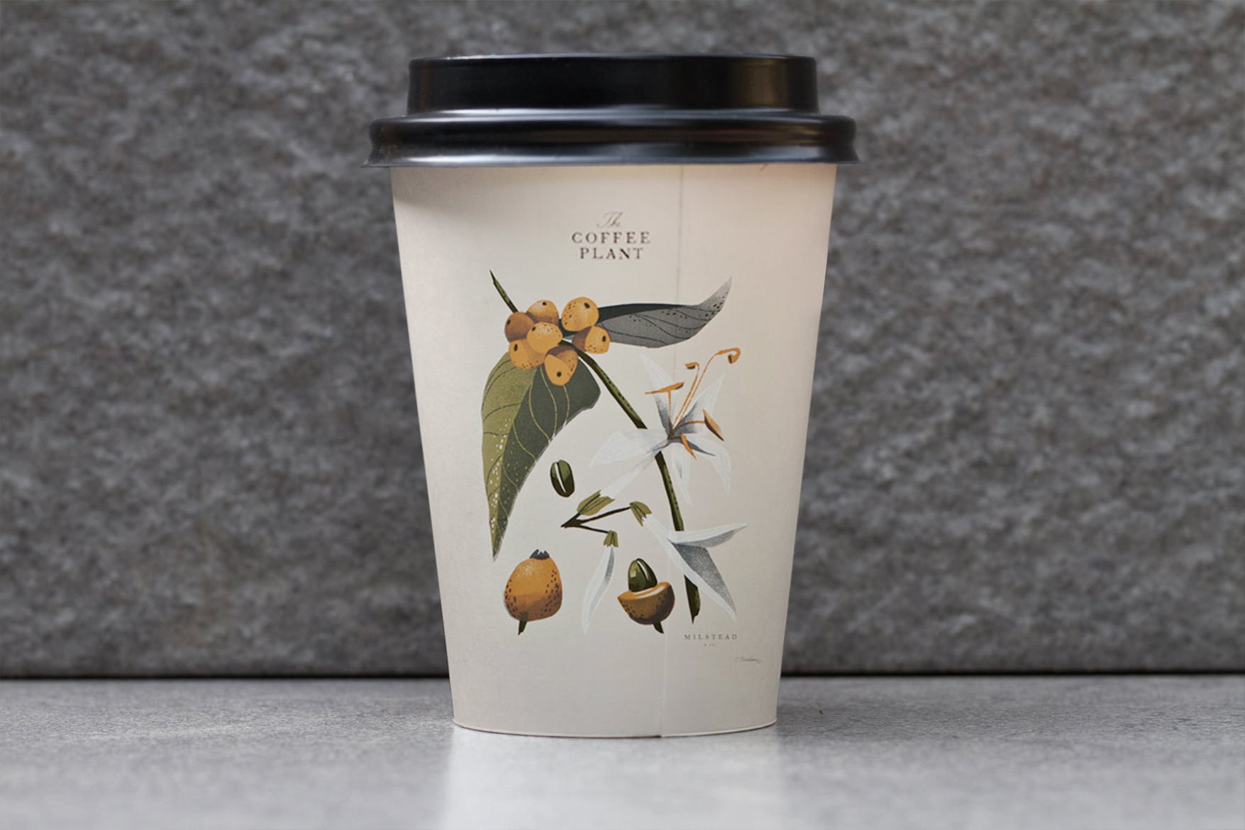 咖啡纸杯设计品牌Logo预览样机模板 Coffee Branding Mockup插图(2)