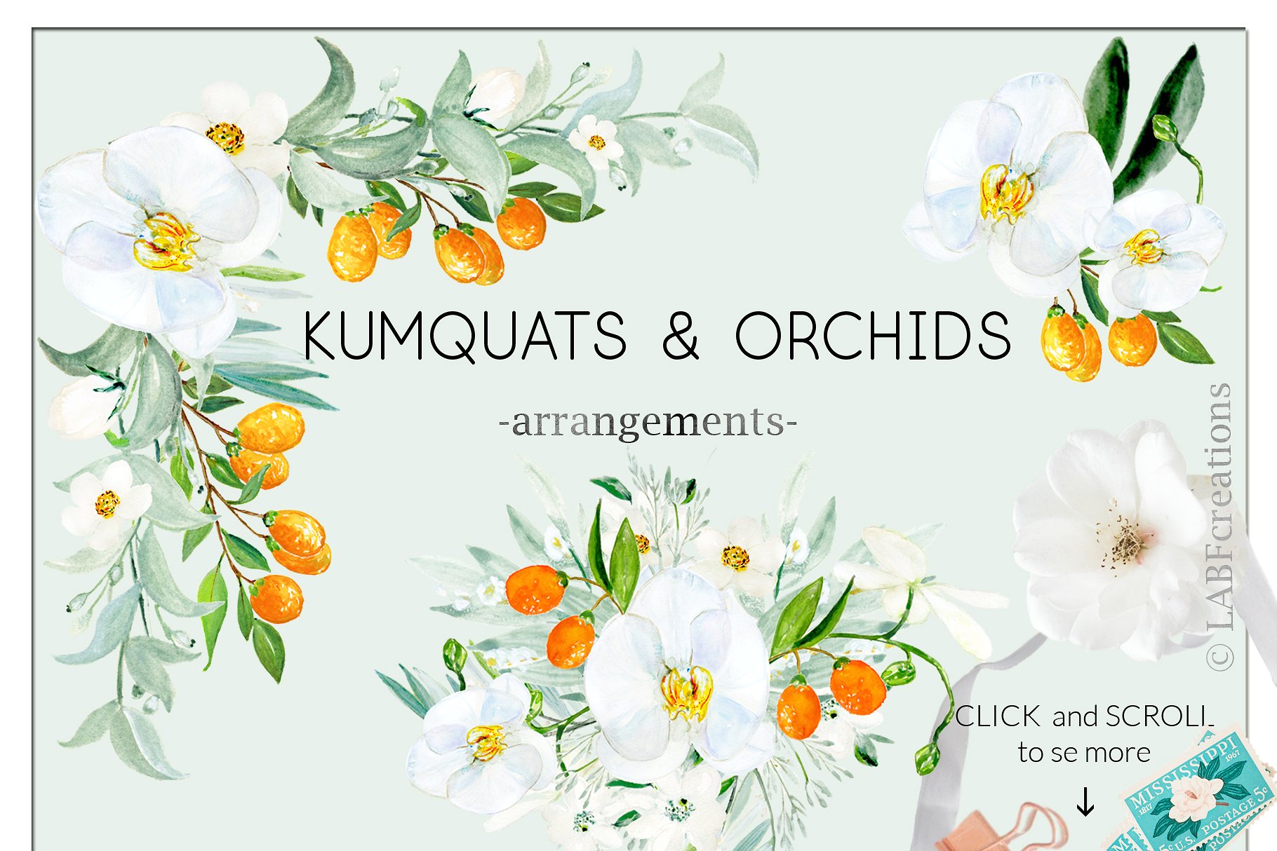 金橘和白色兰花手绘水彩画素材 Kumquat & white orchids. Watercolors插图2