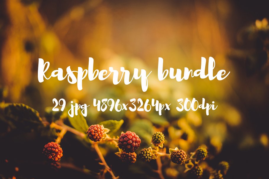 清新自然树莓高清图片素材 Raspberry photo pack插图