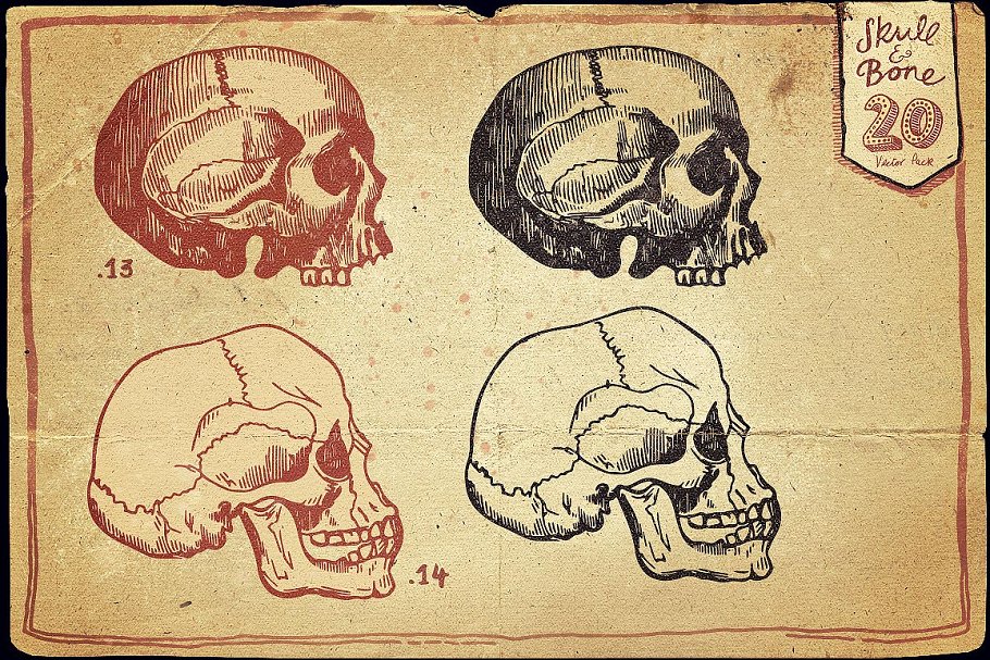 万圣节骷髅头矢量图形合集 Vintage Skull and Bone Vector pack插图(7)