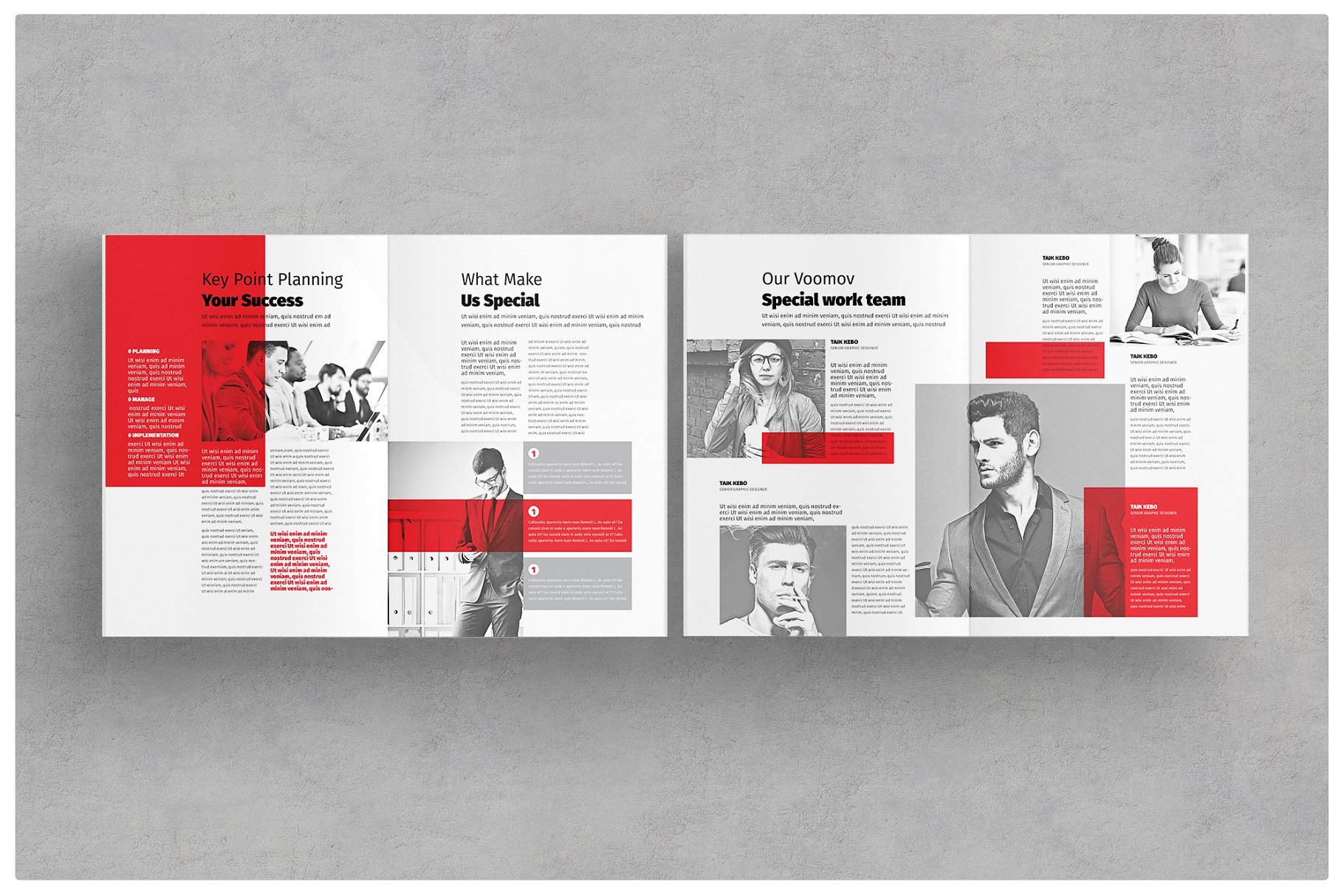 项目招标企业介绍宣传画册模板 Brochure插图(6)