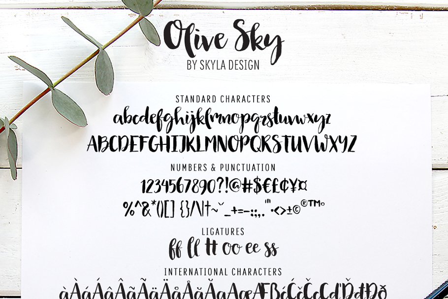 现代手写书法英文字体 Olive Sky, Modern brush font插图4