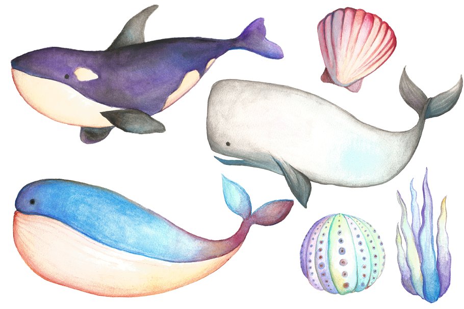 手绘水彩海洋生物设计元素 Watercolor Sea Life Clipart Bundle插图(3)
