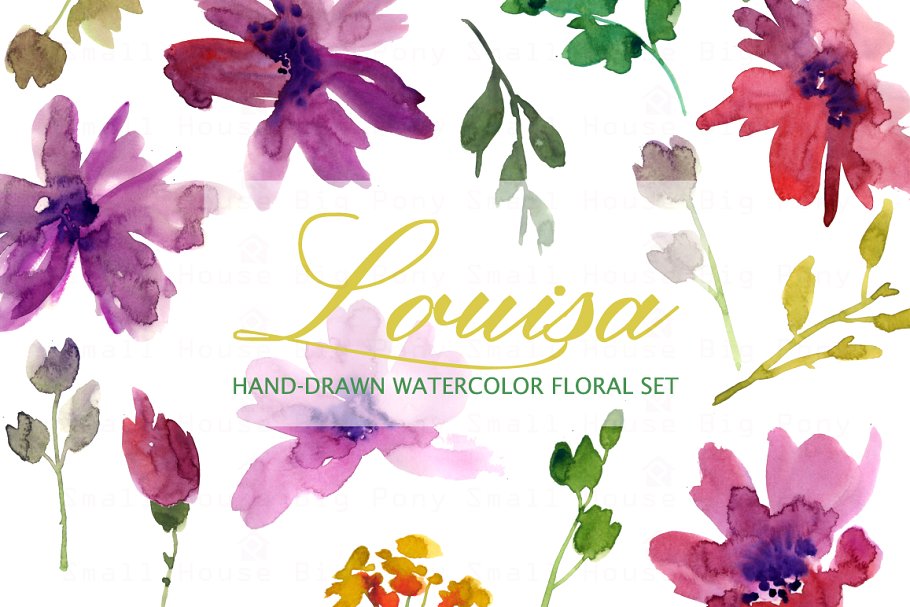 手绘水彩花卉剪贴画 Louisa- Watercolor Clip Art Set插图3