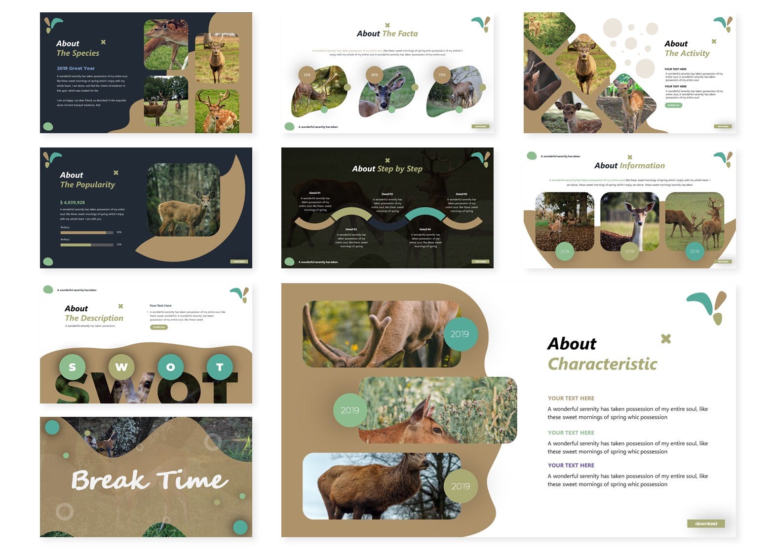 动物研究可爱风格儿童主题Keynote幻灯片模板 Anima Deer | Keynote Template插图2