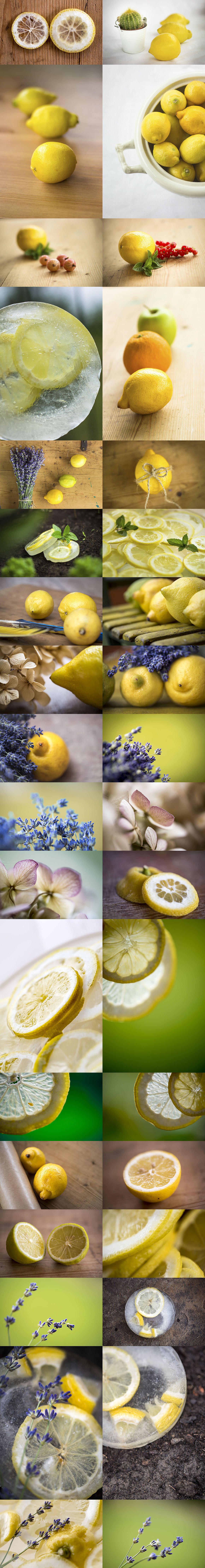柠檬特写镜头高清照片素材 Fresh Lemon – Photos & Graphics插图12