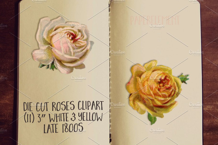 黄色&白色玫瑰花剪贴画 Yellow & White Rose Clip Art Flowers插图(1)
