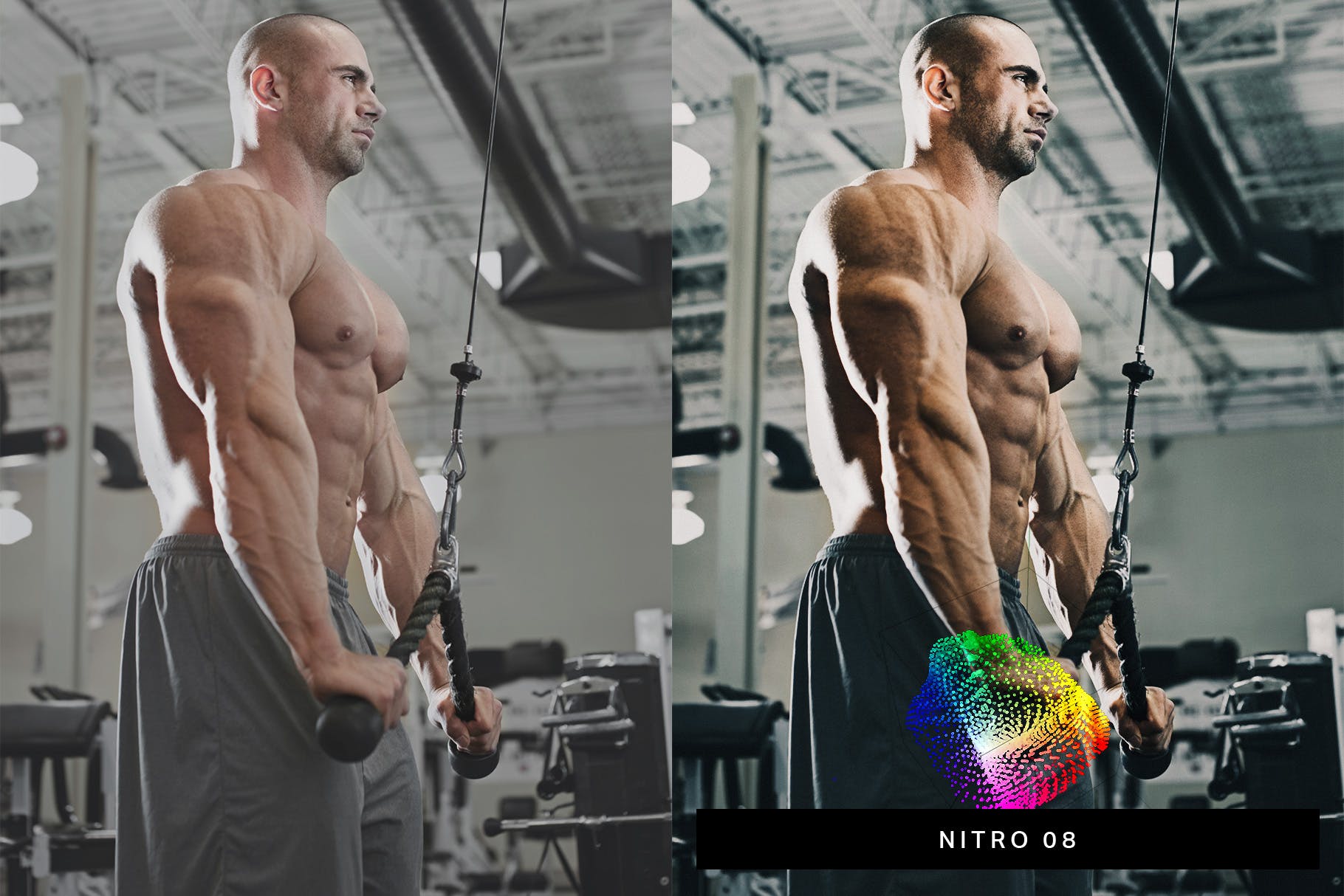 50款精美的健身健美摄影LR调色预设 50 Bodybuilding Lightroom Presets插图3