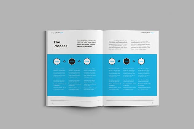 企业宣传册/画册/商业提案手册INDD设计模板 Company Profile 2020插图(8)