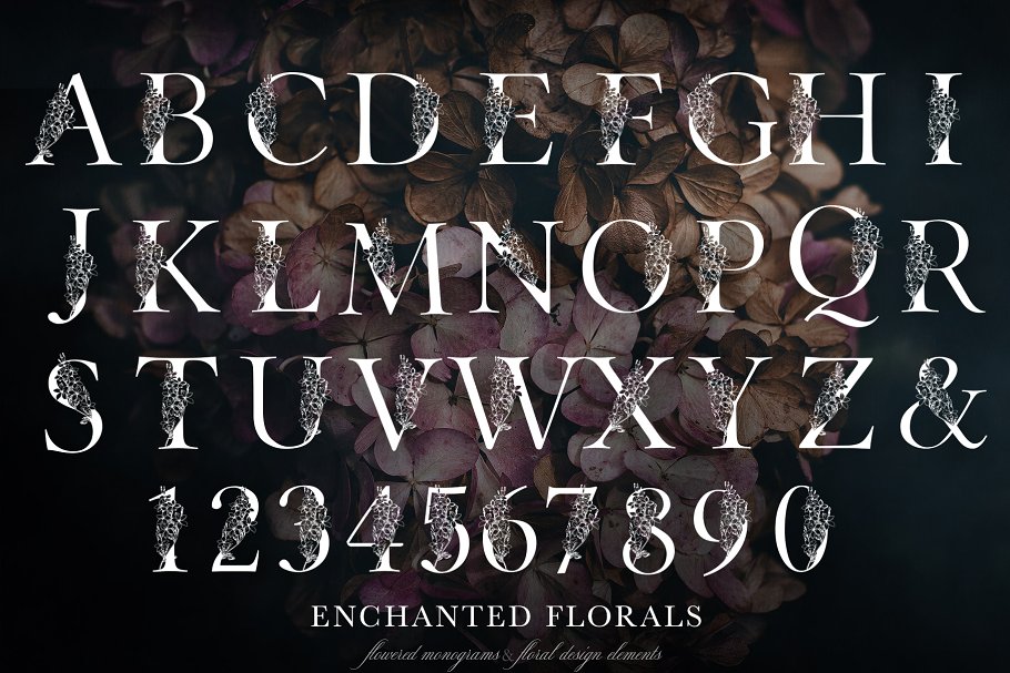 魔法花卉装饰字母创意字母集 Enchanted Florals Monogram Set插图1