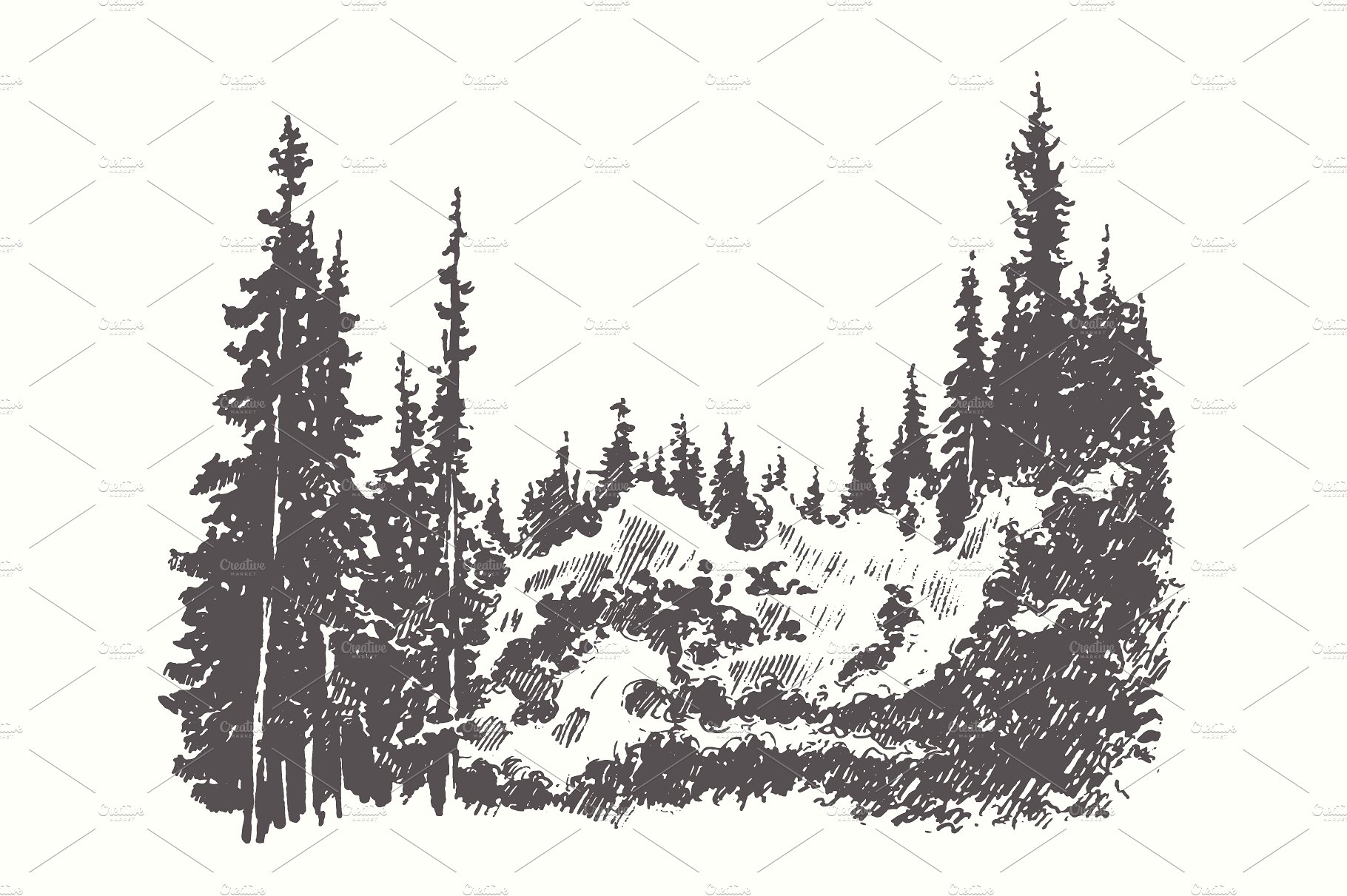 素描森林景观作品插画合集 Collection of forest landscapes插图(4)