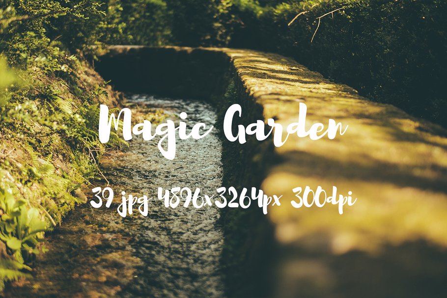 秘密花园花卉植物高清照片素材 Magic Garden photo pack插图(17)