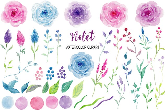 紫罗兰色水彩花卉剪贴画素材合集 Watercolor Clipart Violet Collection插图(1)