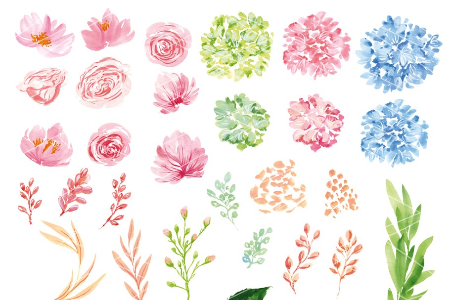 八仙花绣球花剪贴画 Hydrangea clipart set插图(1)