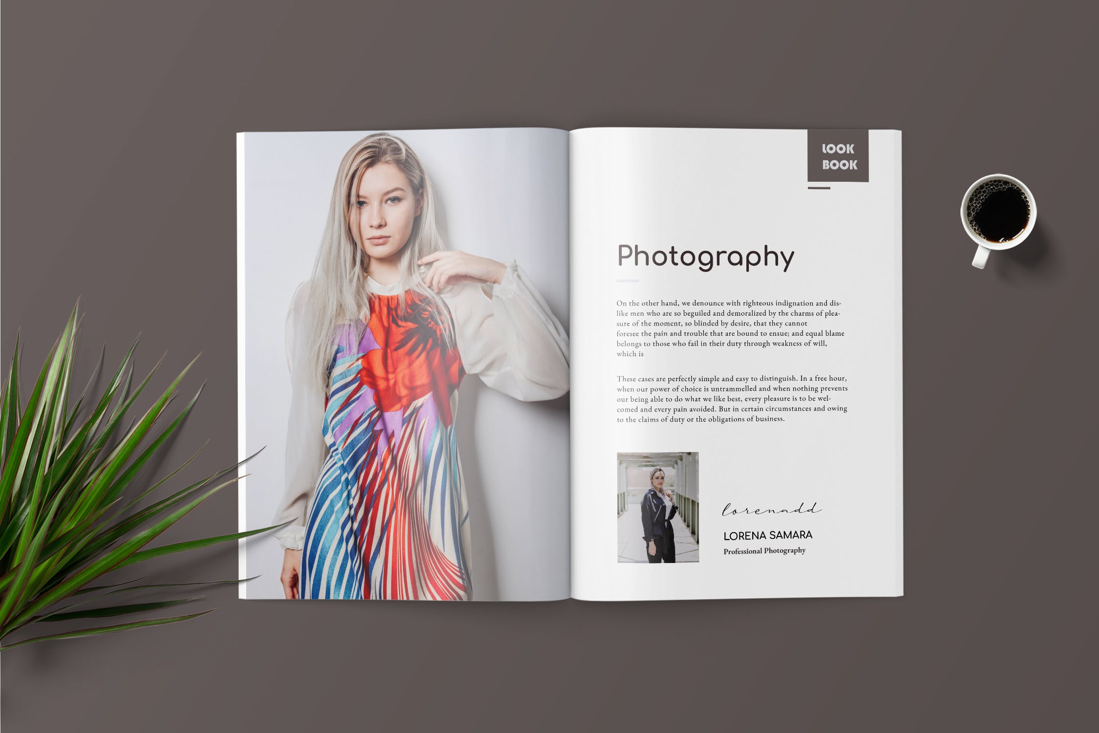 时尚服饰品牌产品画册/手册设计模板 Fashion Lookbook Catalogue插图(2)