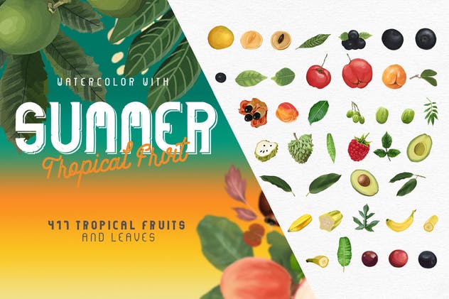 夏日热带水果水彩插画 Watercolor with summer – Tropical Fruit插图12