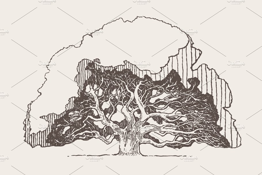 老橡树素描矢量插画 Illustration of an old oak tree插图(2)