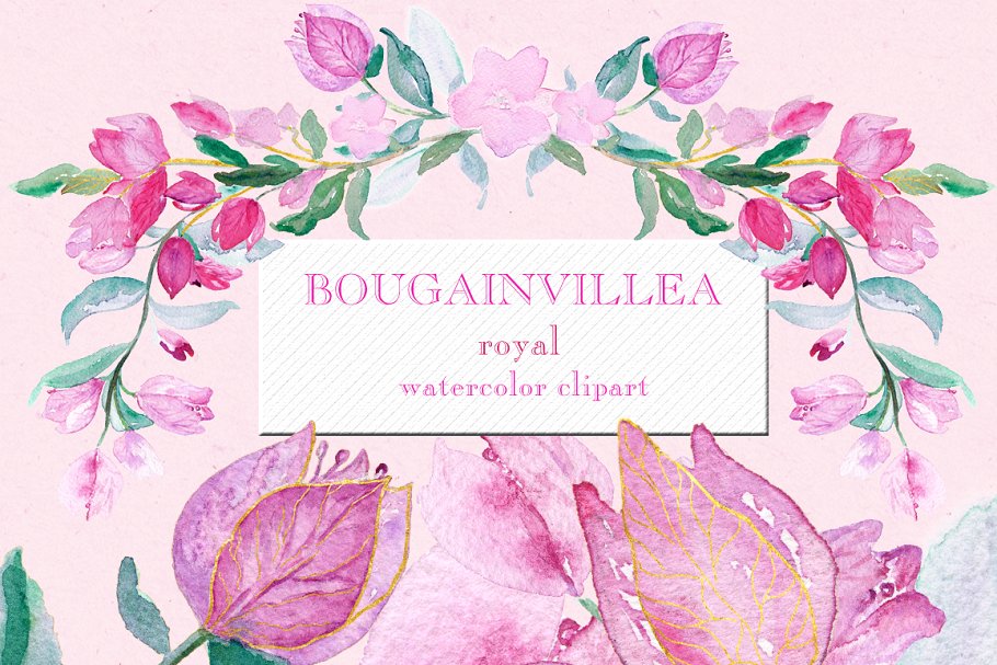 叶子红属&倒挂金钟属花卉水彩剪贴画 Bougainvillea & fuchsia watercolor插图(3)