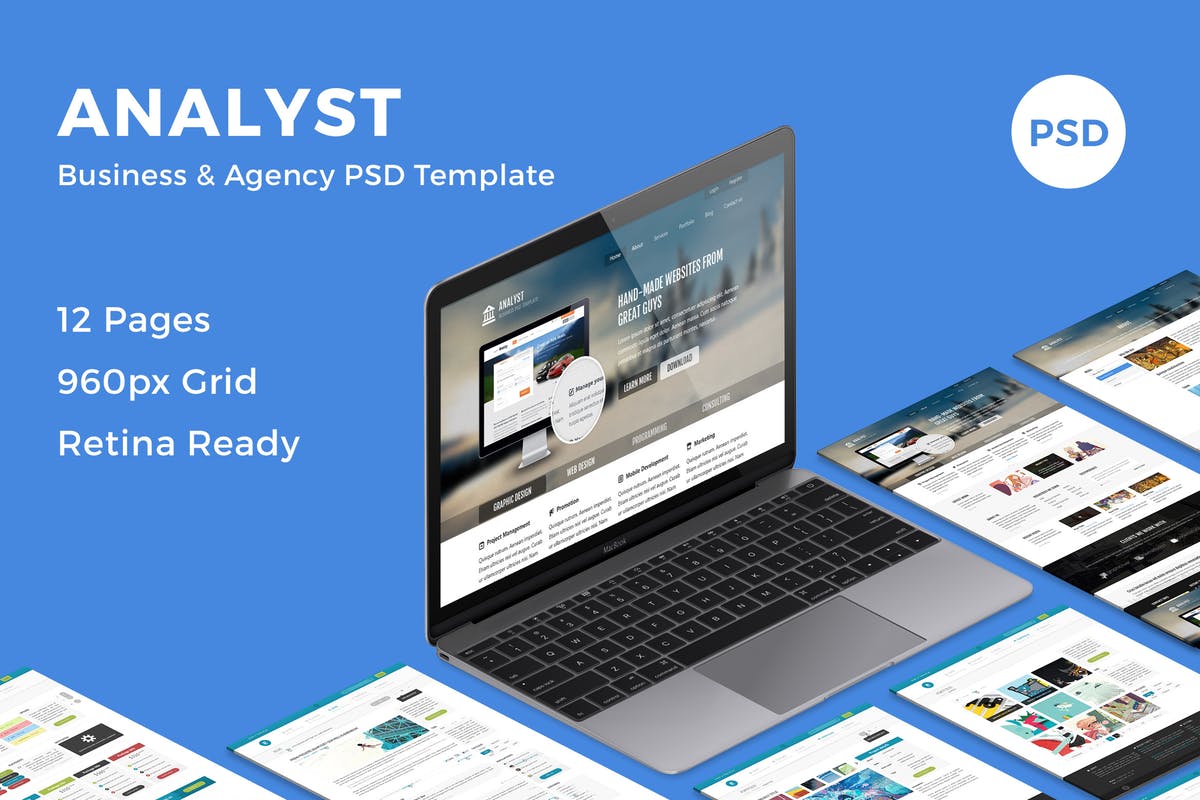 多用途商业网站设计PSD模板 Analyst – Business & Agency PSD Template插图