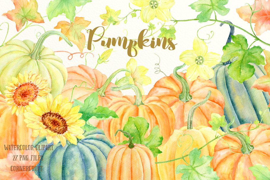 南瓜（藤、叶子&花）水彩剪贴画、纹理 Watercolour Clipart Pumpkins插图