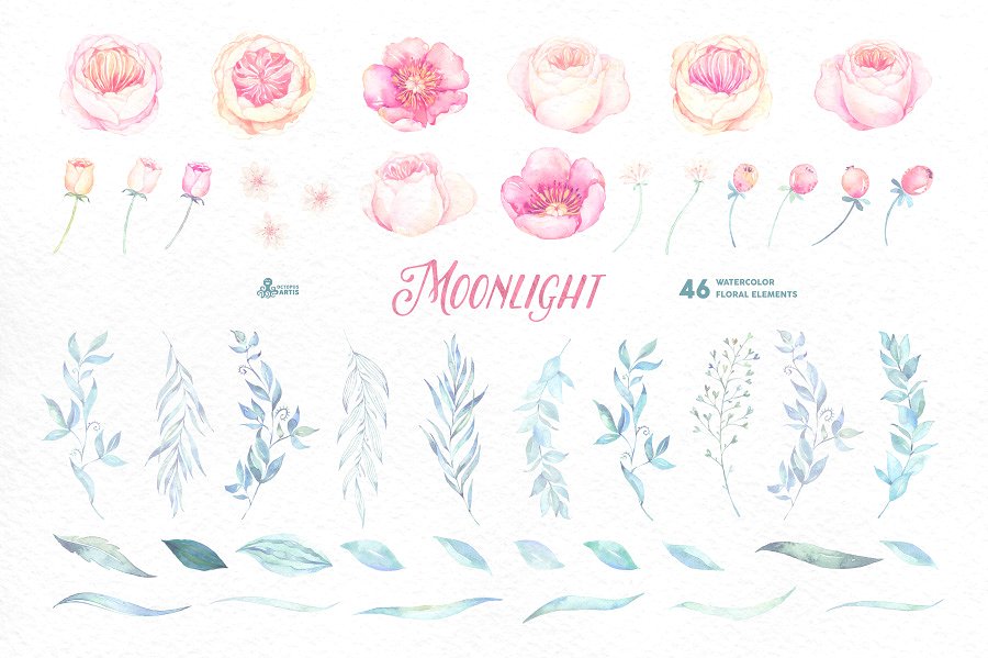 月色水彩花卉设计套装 Moonlight. Floral collection插图4