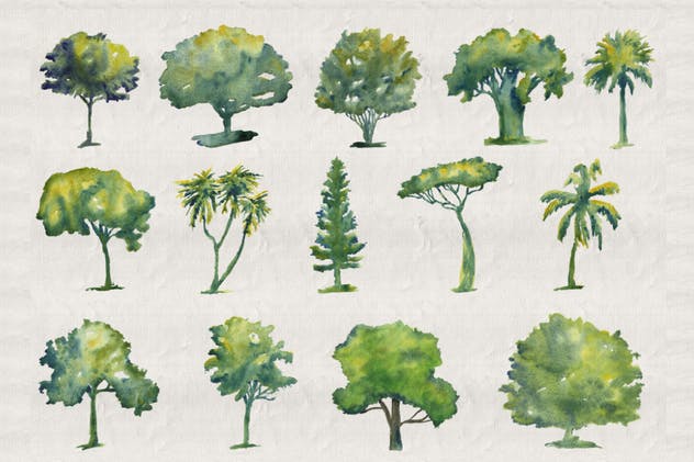 44款水彩手绘树木艺术插画 Collection of 44 Watercolor Trees插图(1)