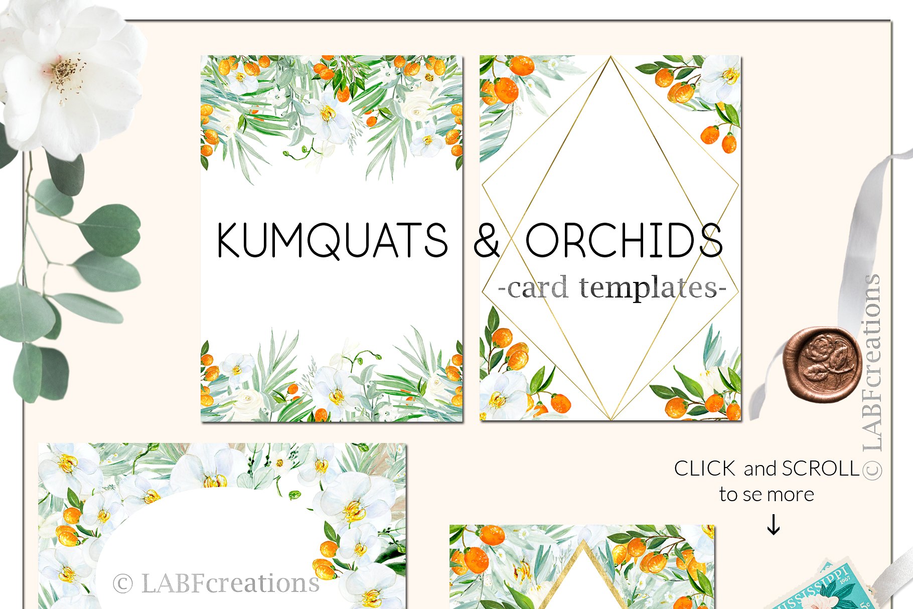 金橘和白色兰花手绘水彩画素材 Kumquat & white orchids. Watercolors插图3