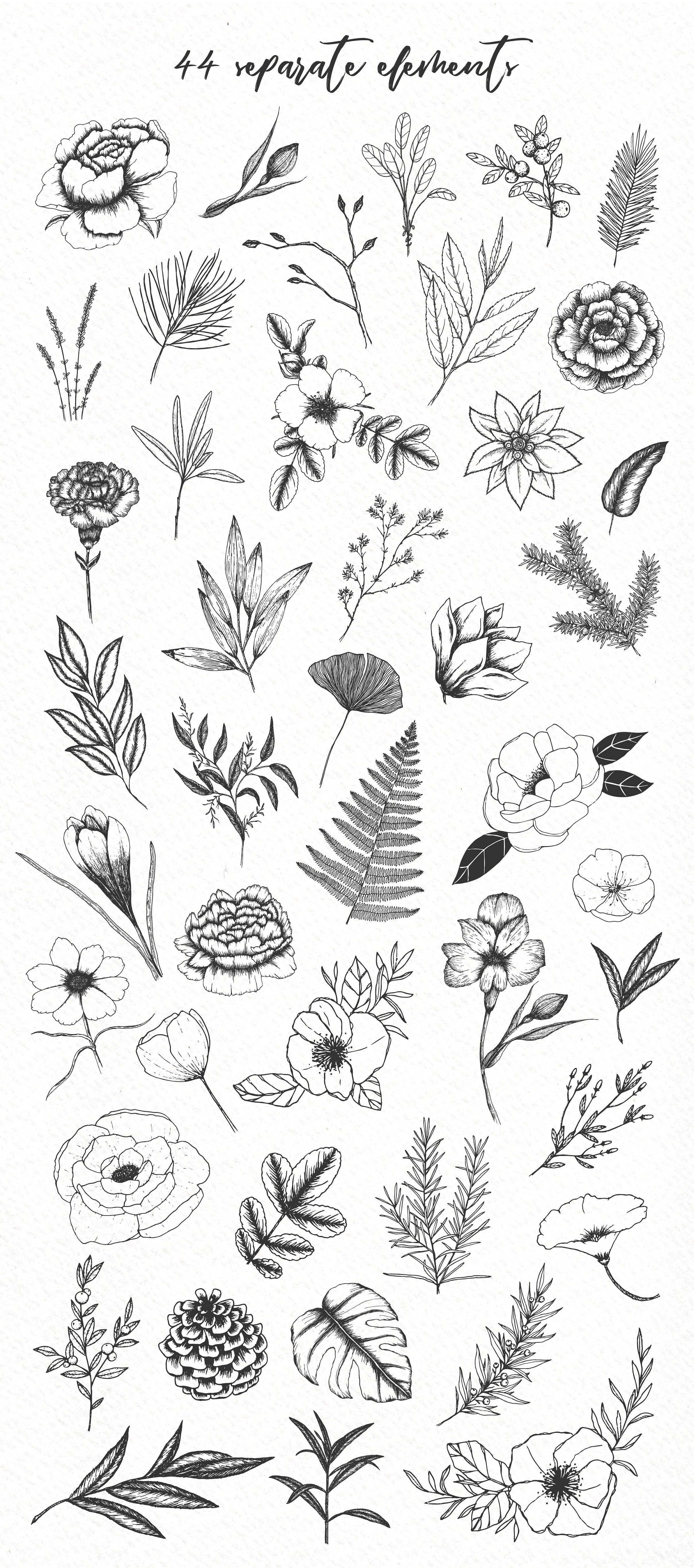 极简主义手绘植物插图包插图1