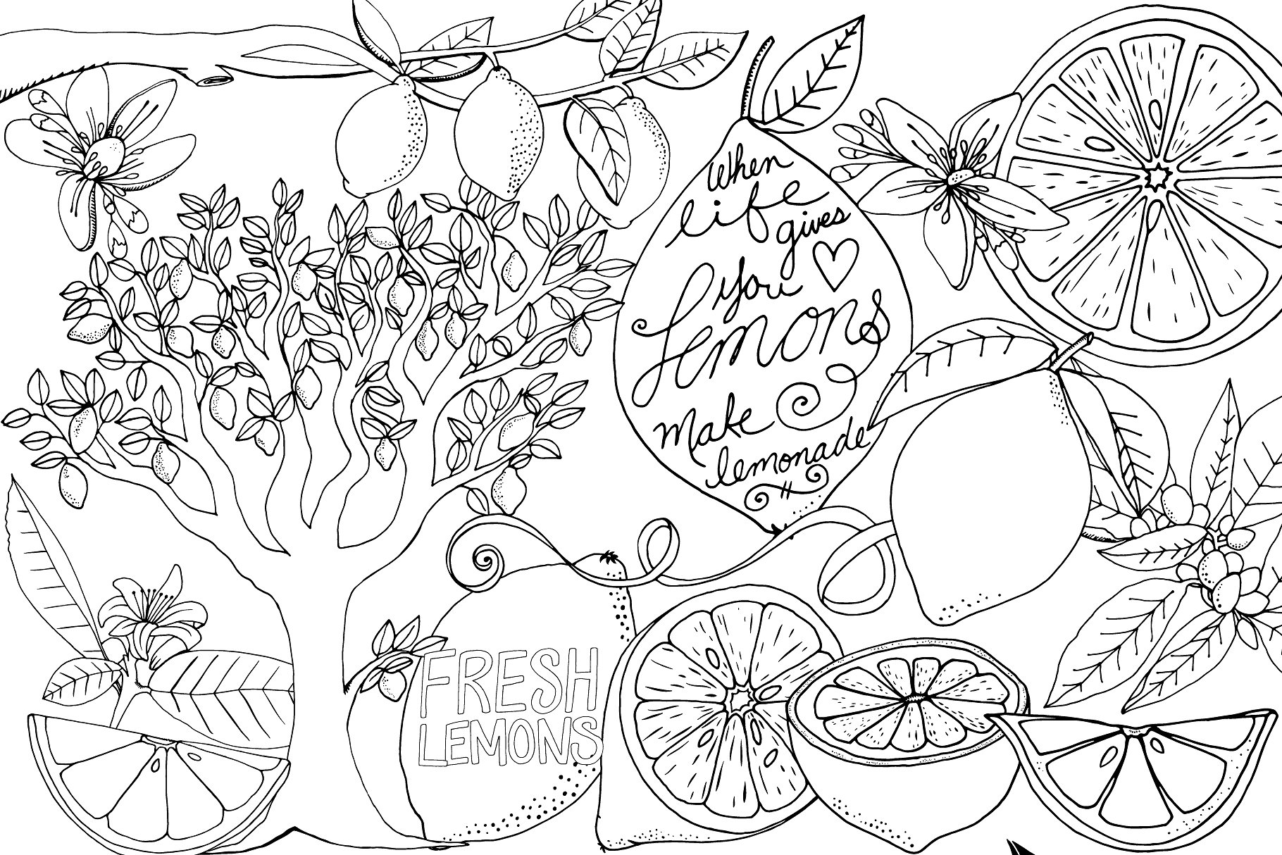 新鲜夏天柠檬插图合集 Lemons, Summer Fruit Illustrations插图(3)