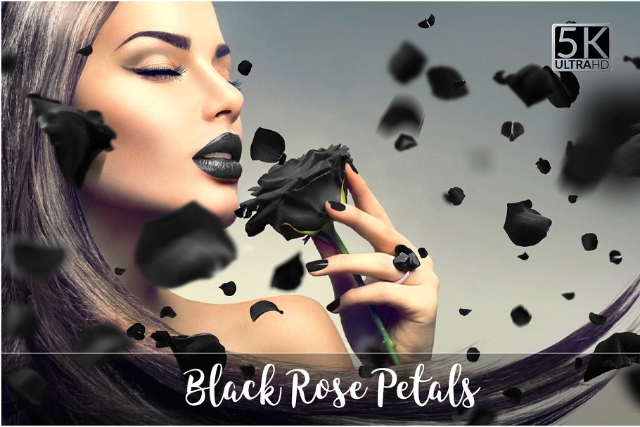 5K高清黑玫瑰元素叠层背景素材 5K Black Rose Petals Overlays插图