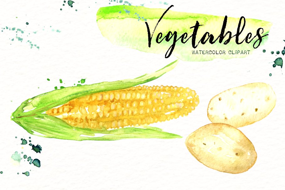 素材素食水彩剪贴画 Vegetables. Vegan Watercolor clipart插图(7)