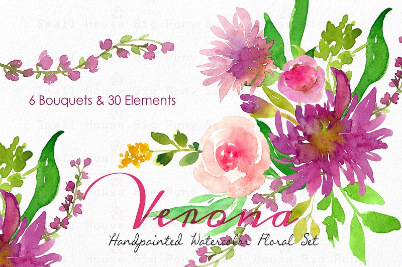 维罗纳-水彩花卉套装 Verona – Watercolor Floral Set插图