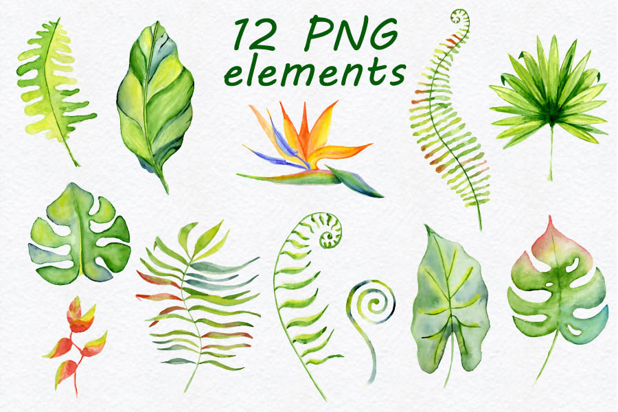 21张高清热带丛林水彩元素美图 Free Tropical Watercolor Bundle插图(1)