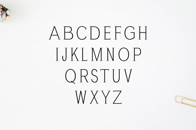 现代独特设计风格英文标语衬线字体 Zayley Serif Regular Font插图1