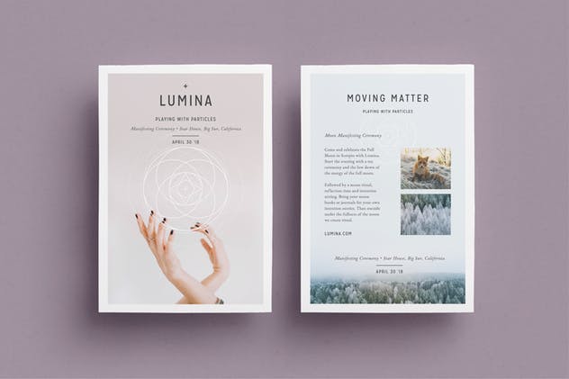 现代朴素设计风格多用途传单设计模板 LUMINA Flyer Template插图(2)