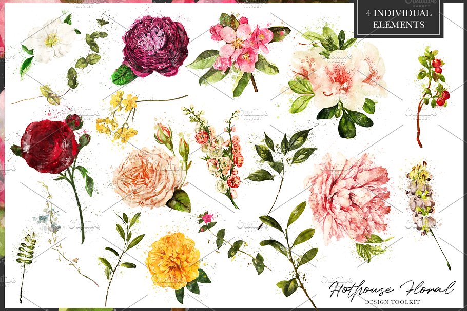 数码绘制温室花卉设计素材包（独立花卉元素&花式字母数字） Hothouse Floral Design ToolKit插图(3)