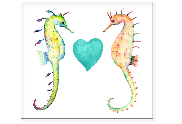 手绘海洋生物水彩海马插画 Watercolor Seahorse Clipart插图1