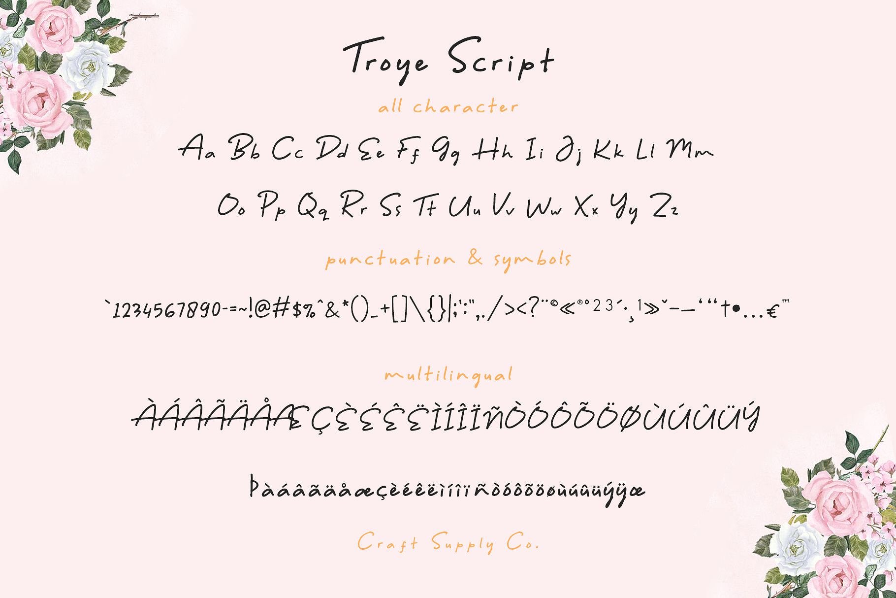 干净&奢华的特洛伊字体三重奏 Troye Font Trio [jpg,otf,ttf]插图(13)