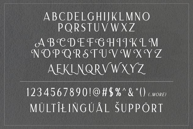经典优雅外观衬线英文字体下载 Merova – Classic Serif (5 Fonts)插图7