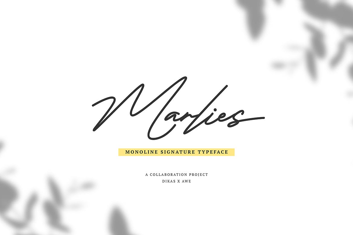 Monoline风格英文钢笔签名字体 Marlies Monoline Signature插图1
