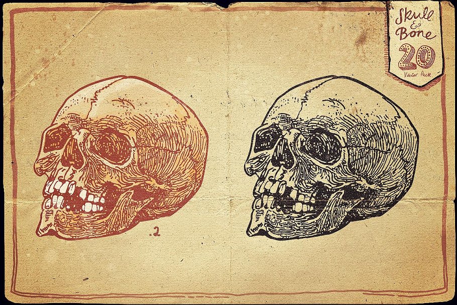 万圣节骷髅头矢量图形合集 Vintage Skull and Bone Vector pack插图2