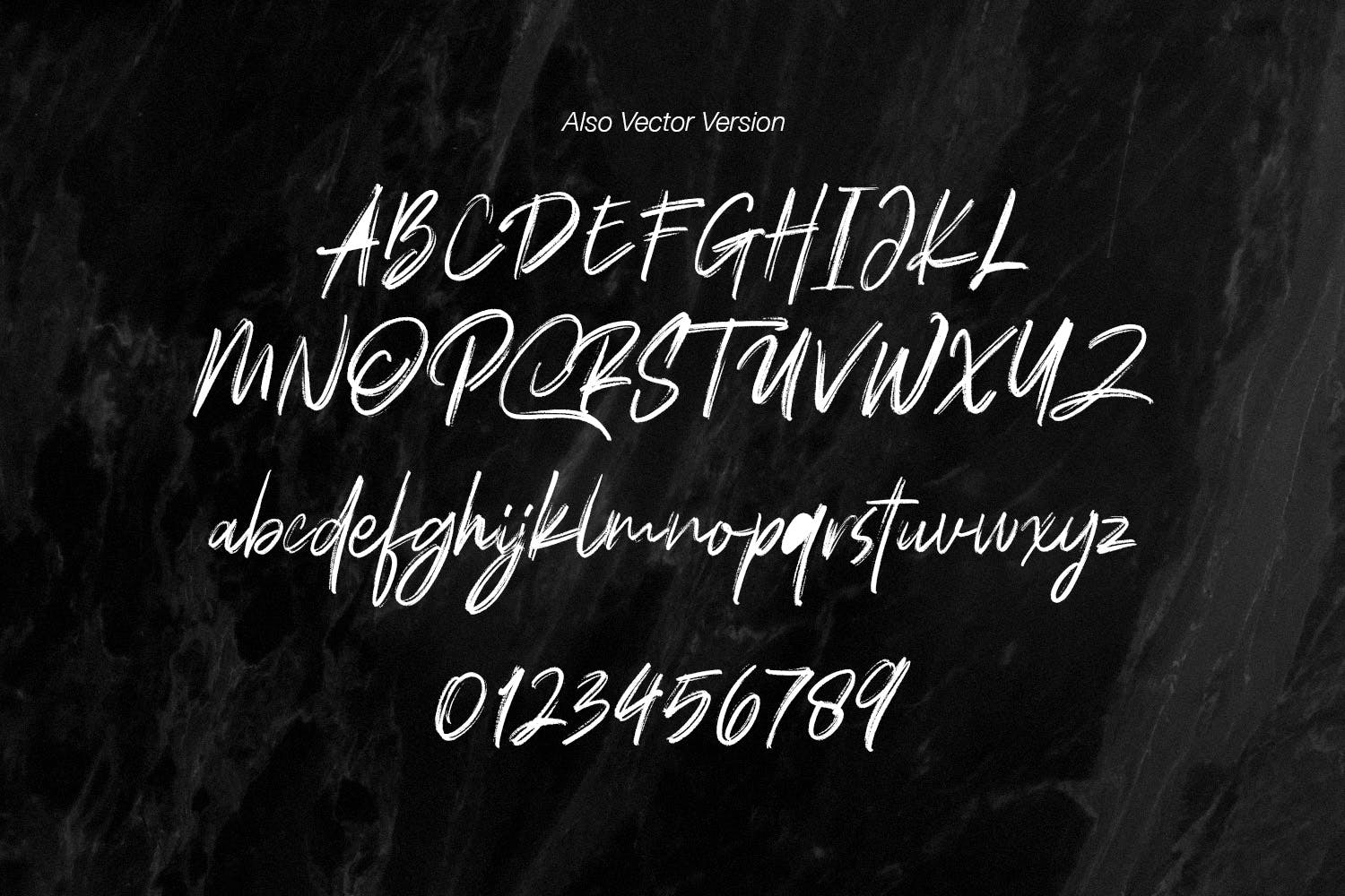 干笔刷英文画笔SVG字体下载 Polandic SVG Brush Font插图(9)