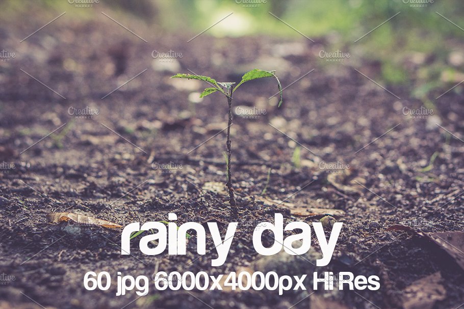 高清下雨天景色照片 Rainy day photo pack插图3