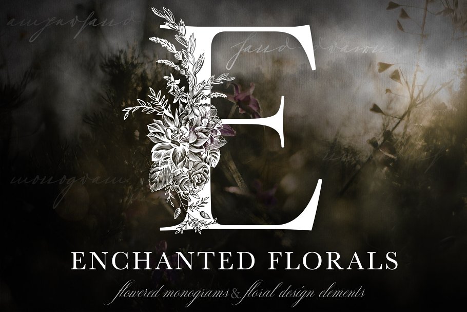 魔法花卉装饰字母创意字母集 Enchanted Florals Monogram Set插图