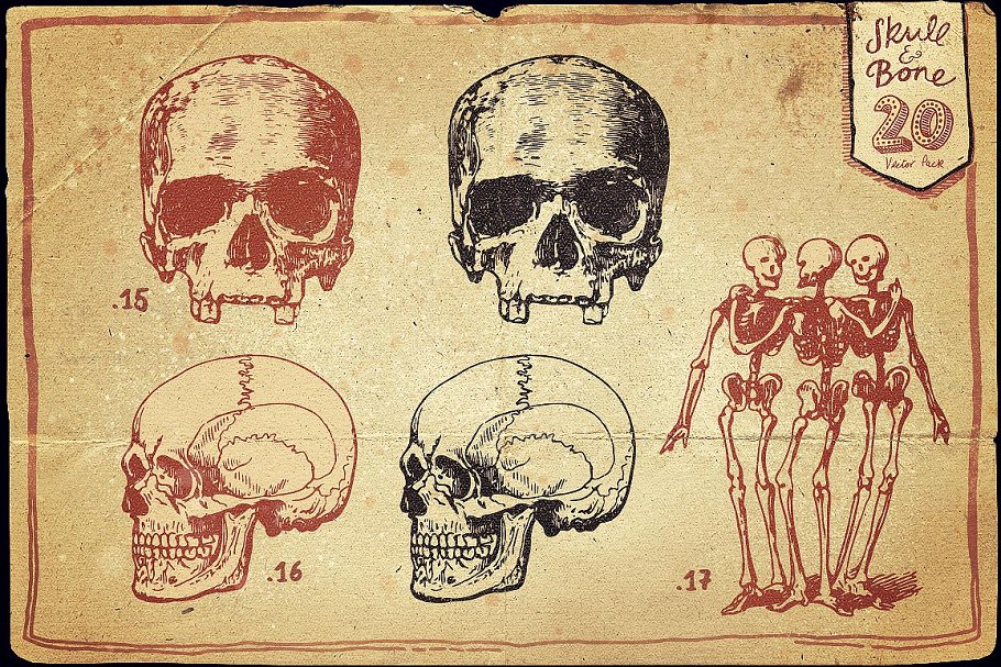 万圣节骷髅头矢量图形合集 Vintage Skull and Bone Vector pack插图(8)